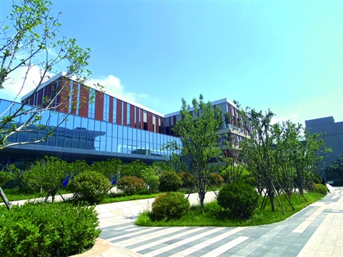 校园内绿化覆盖率高,风景如画